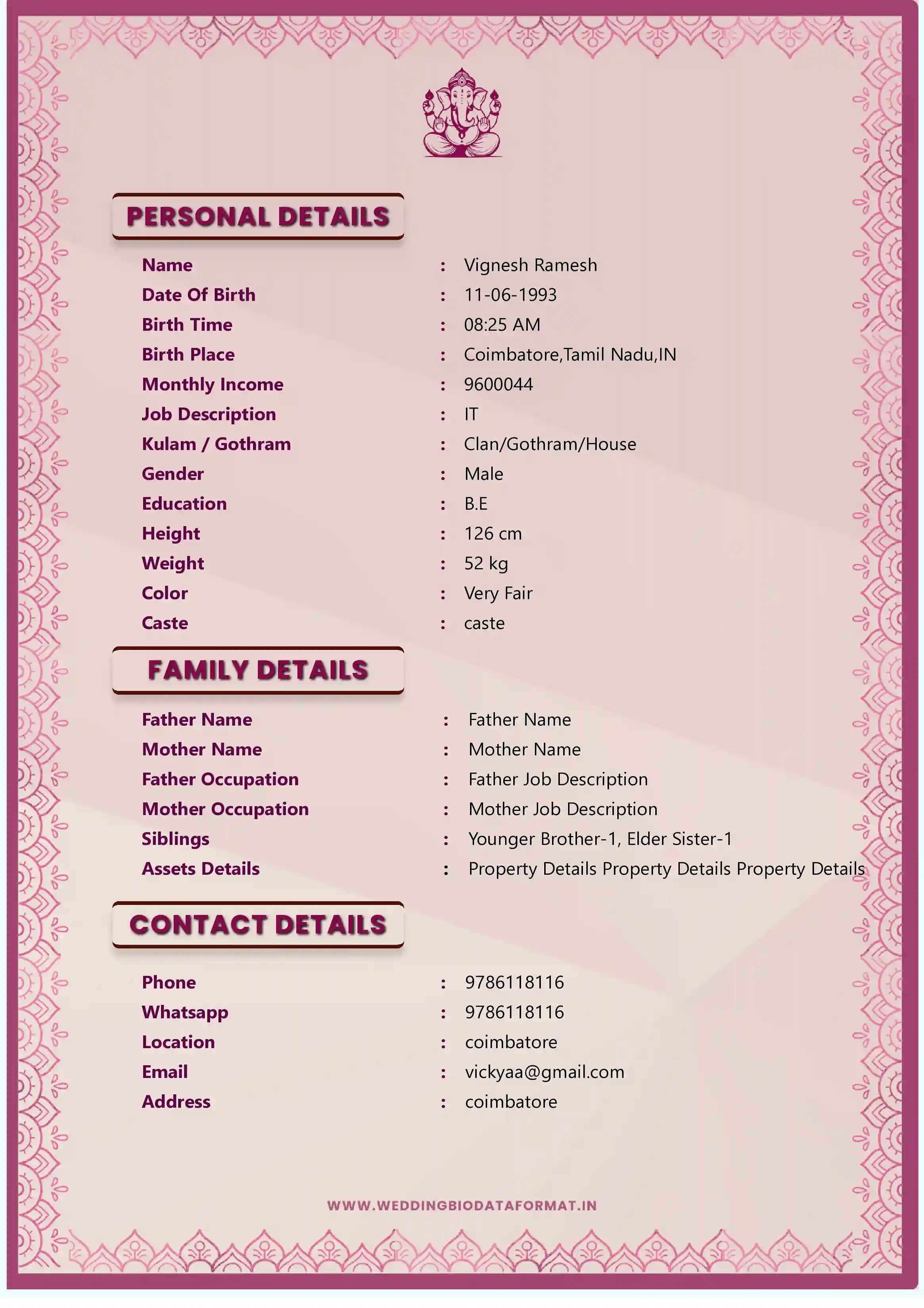 Marriage Biodata Template 10