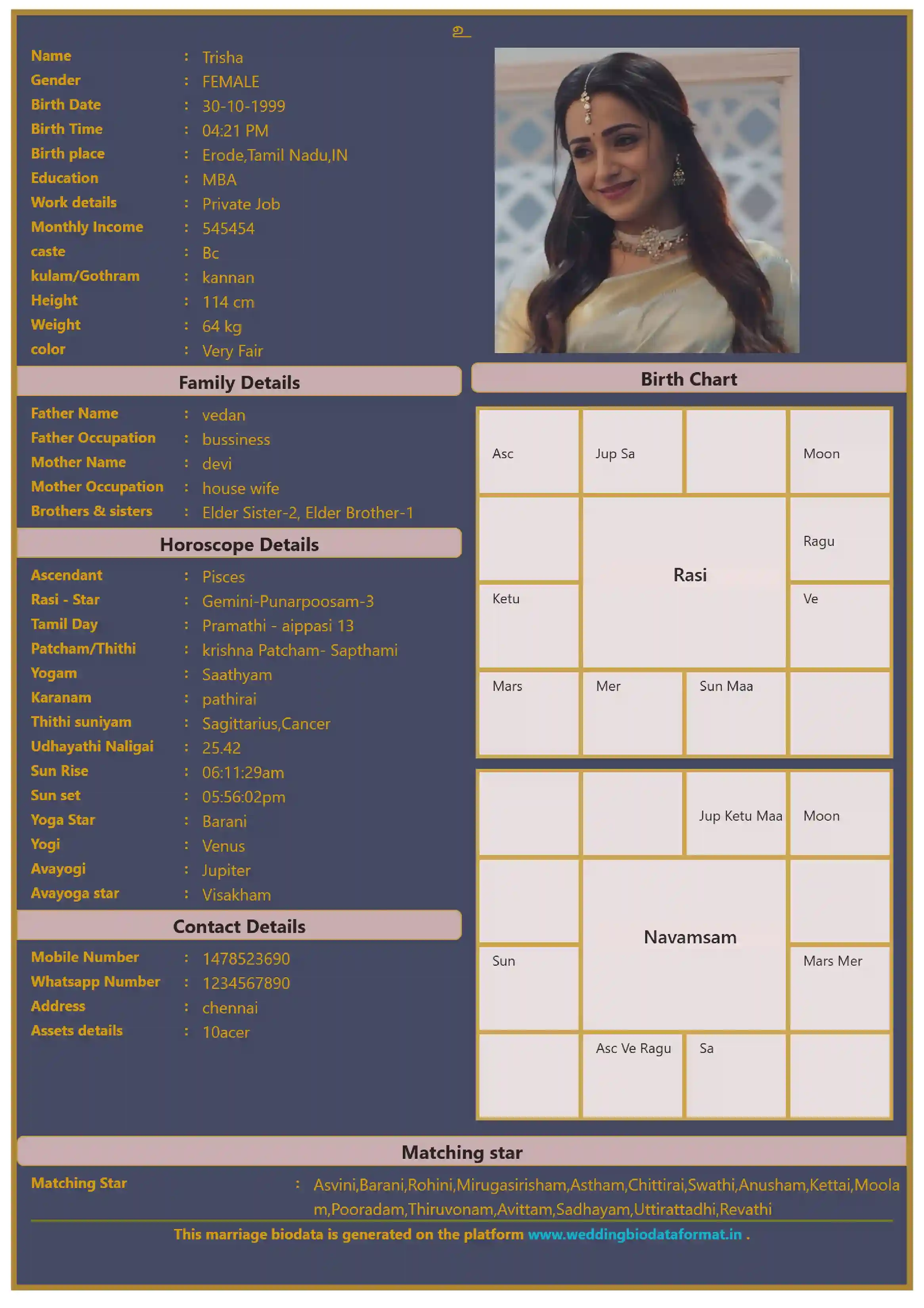 Marriage Biodata Template 4