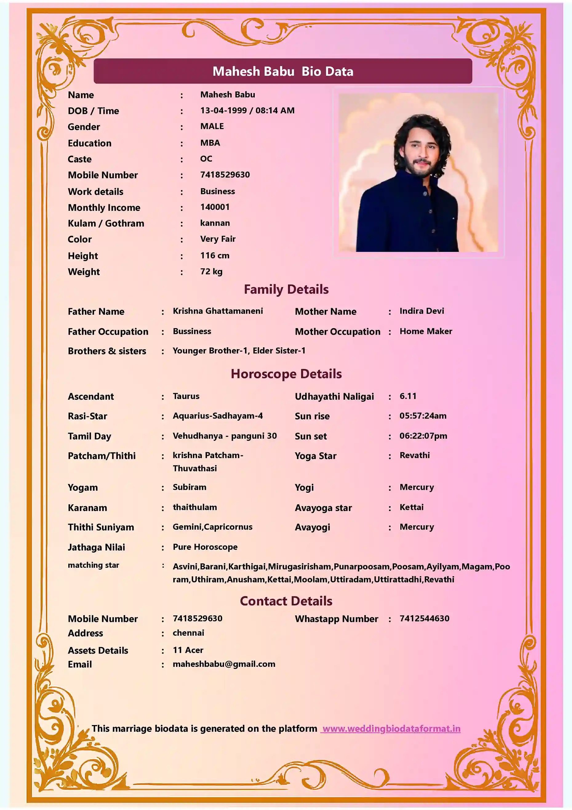 Marriage Biodata Template 8